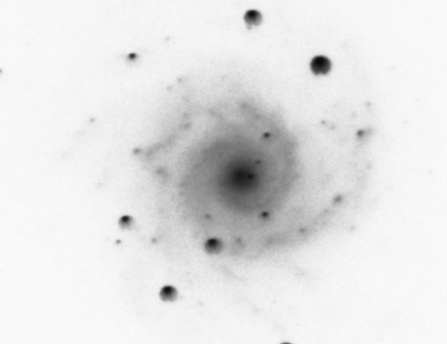 NGC 0628.jpg